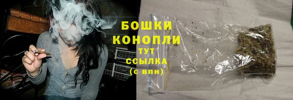 СК Михайлов
