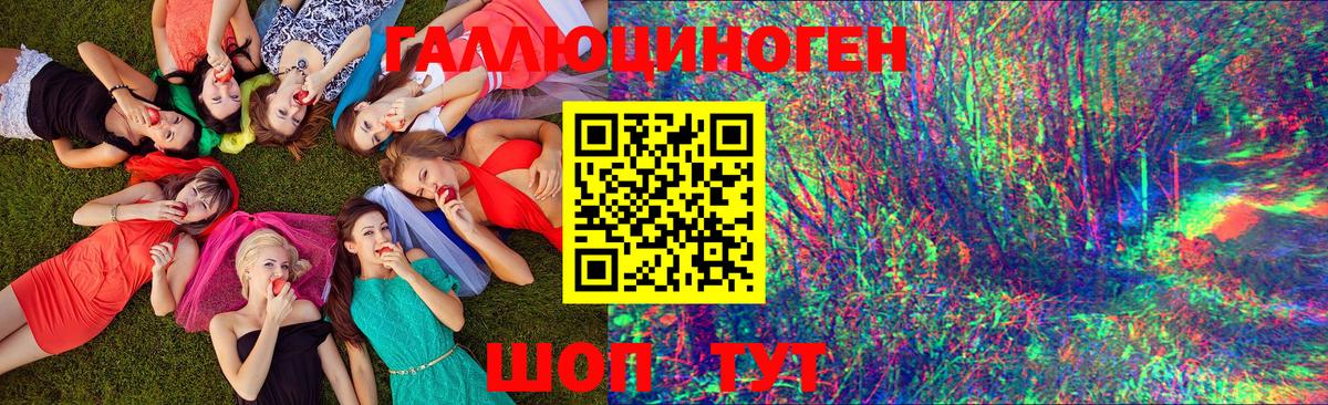 Кировск  Псилоцибиновые грибы GOLDEN TEACHER  Вход с VPN 