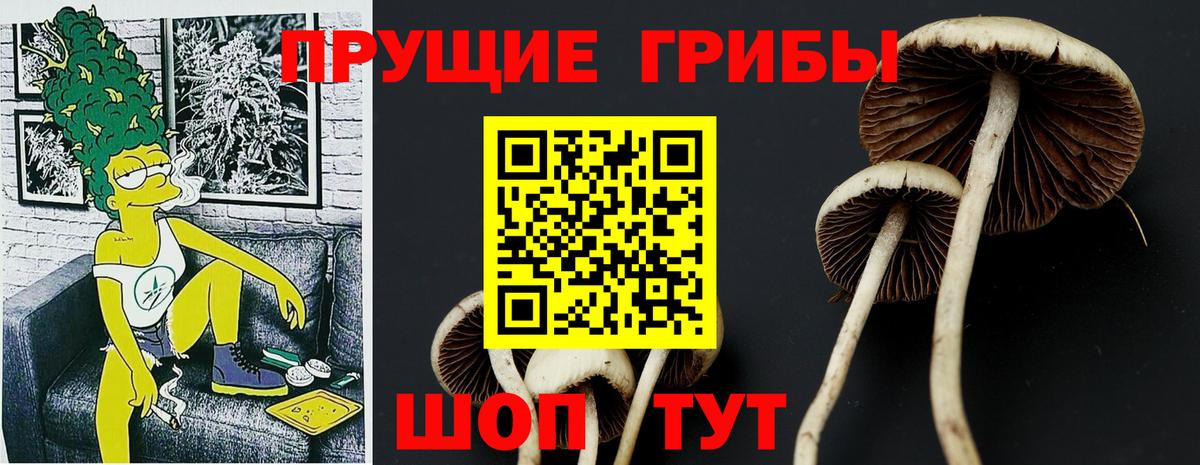 Псилоцибиновые грибы ЛСД  Псилоцибиновые грибы мицелий  Кировск 