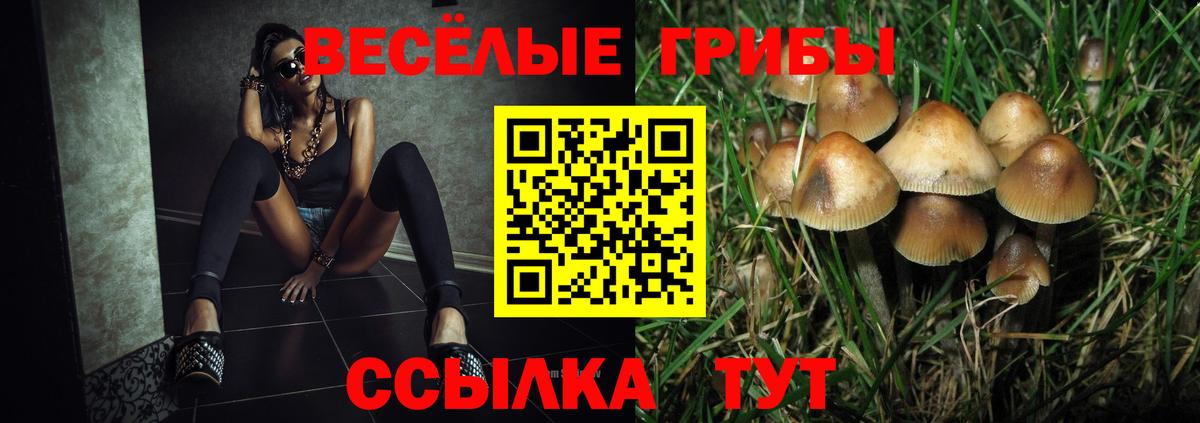 Галлюциногенные грибы Cubensis Кировск